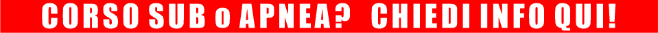 BANNERSUBROSSO